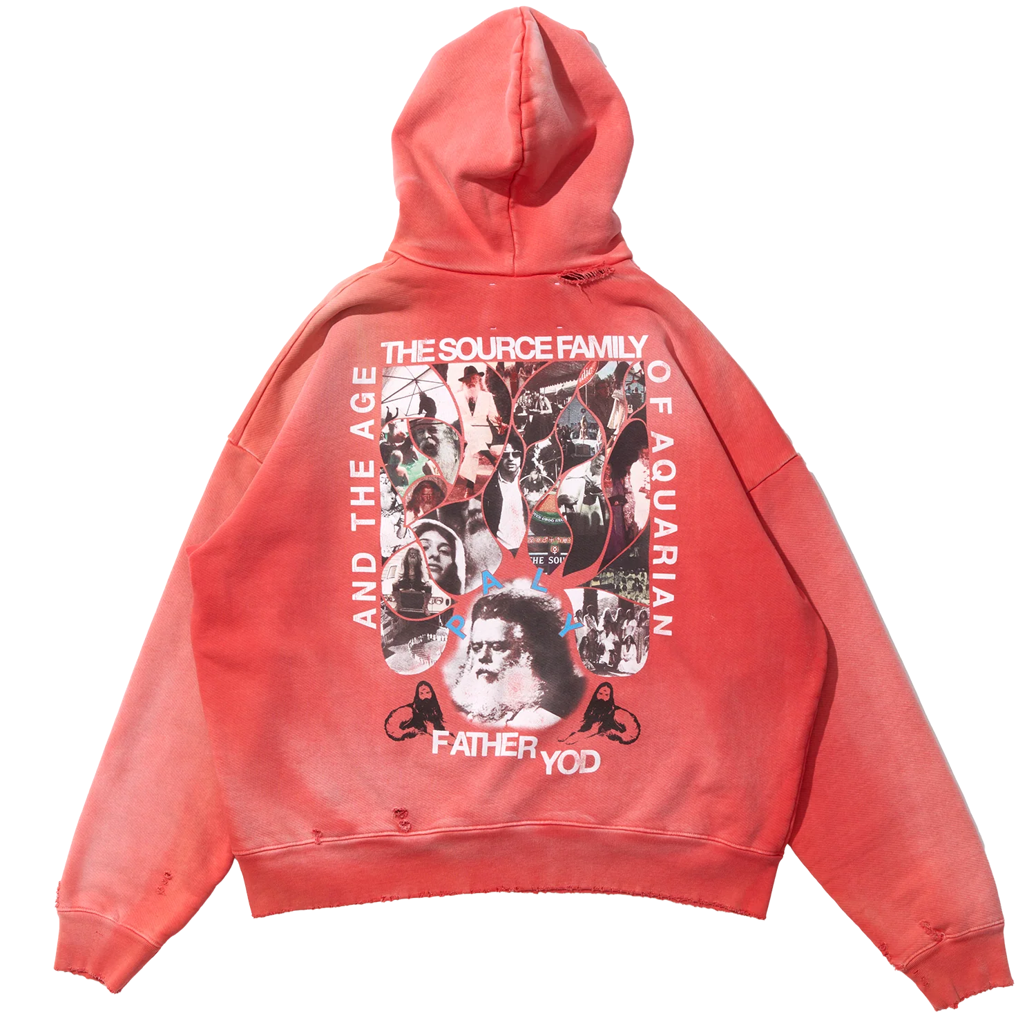 Source Family Hooded Sweatshirt - Image 2